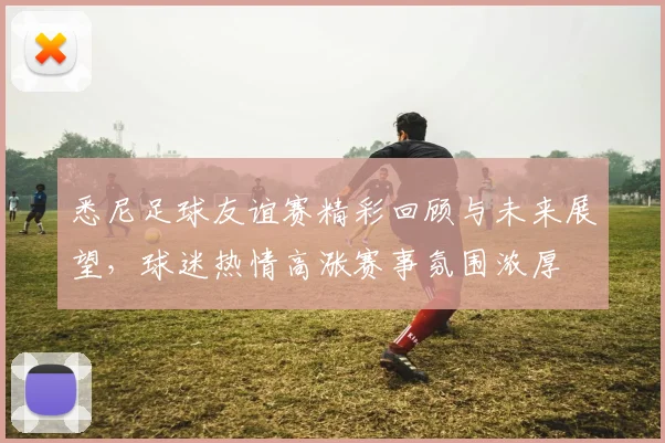 悉尼足球友谊赛精彩回顾与未来展望，球迷热情高涨赛事氛围浓厚