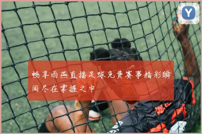 畅享雨燕直播足球免费赛事精彩瞬间尽在掌握之中