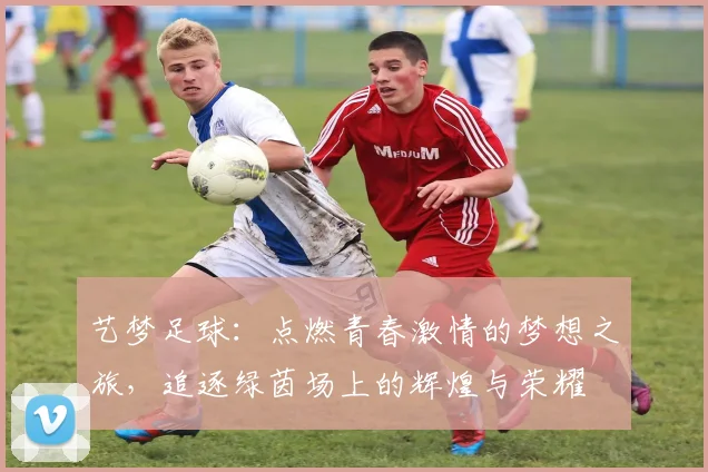 艺梦足球：点燃青春激情的梦想之旅，追逐绿茵场上的辉煌与荣耀