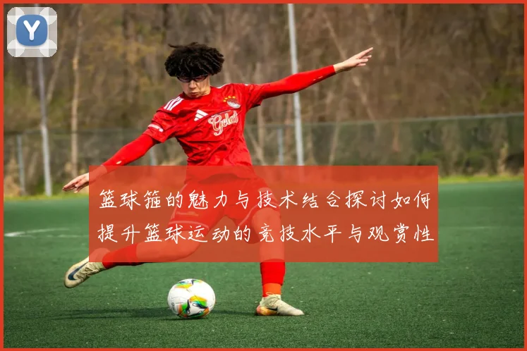 篮球箍的魅力与技术结合探讨如何提升篮球运动的竞技水平与观赏性