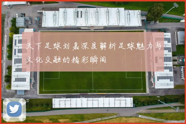 天下足球刘嘉深度解析足球魅力与文化交融的精彩瞬间